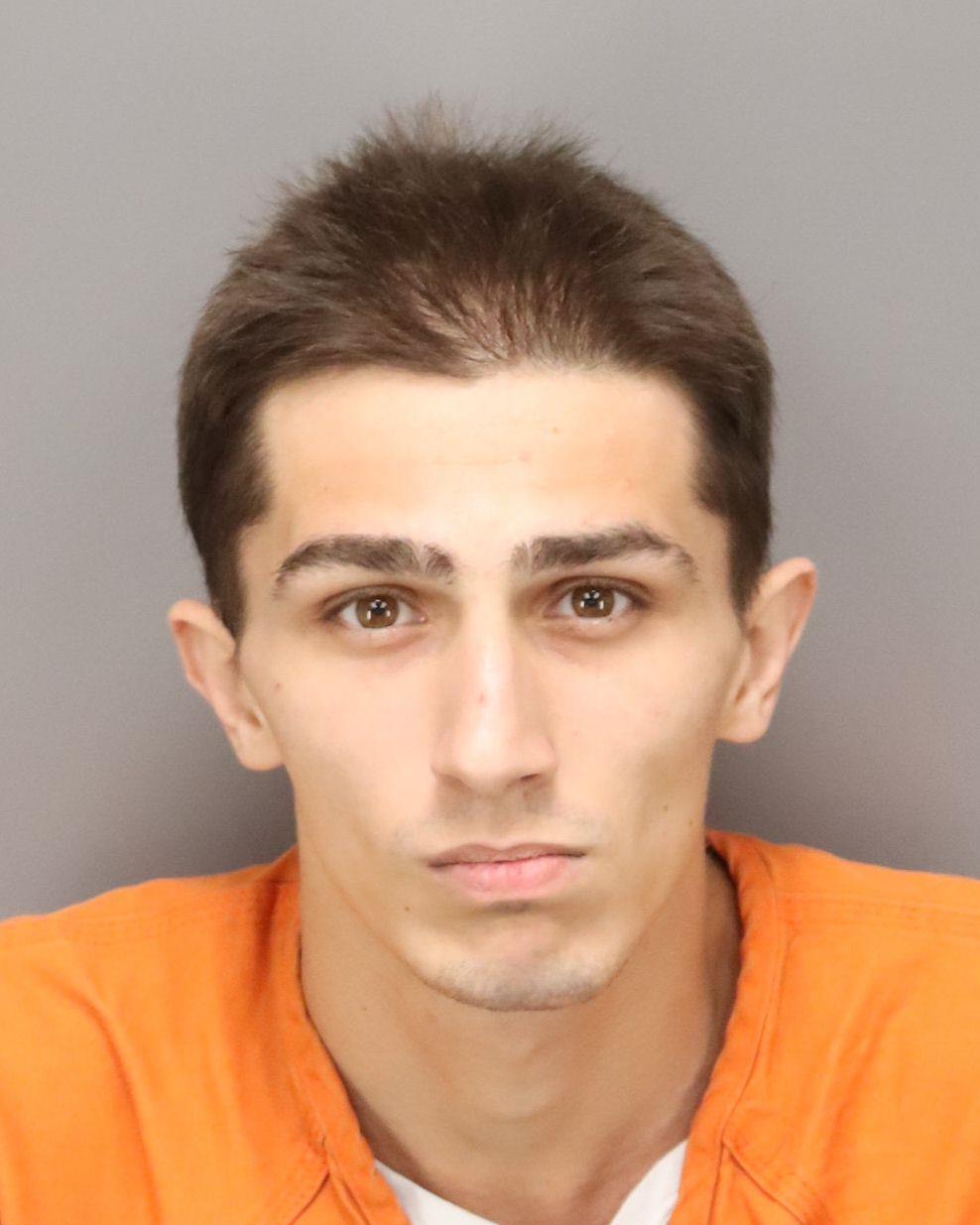 Dairon Molina Booking Photo, Rose, X-ray of Injury